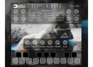 SampleScience Gorilla Bass