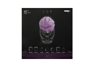Thenatan Brain