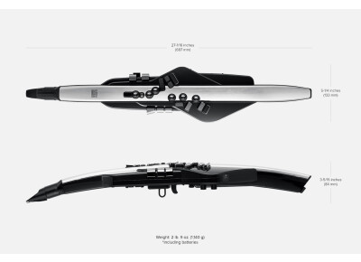Roland Aerophone Pro AE-30