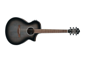 Ibanez AEWC11