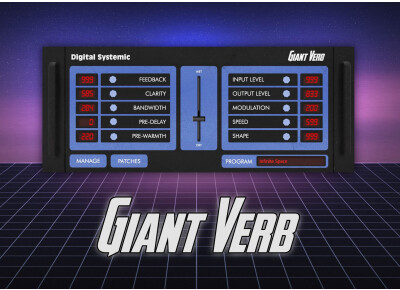 Digital Systemic Emulations Giant Verb