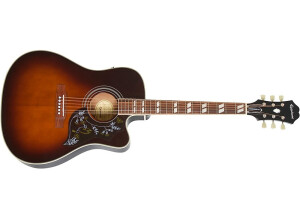 Epiphone 2018 Limited Edition Hummingbird Performer Pro
