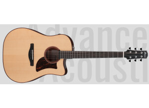 Ibanez AAD300CE