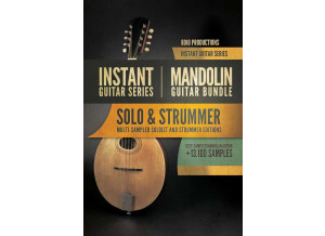 8dio Instant Mandolin Guitar Bundle