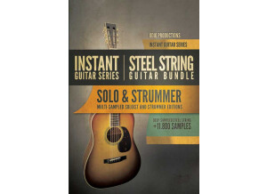 8dio Instant Steel String Guitar Bundle