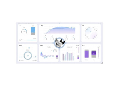 Aurora DSP Rhino