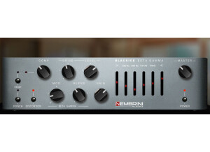 Nembrini Audio Blackrice Beta Gamma Bass Amplifier