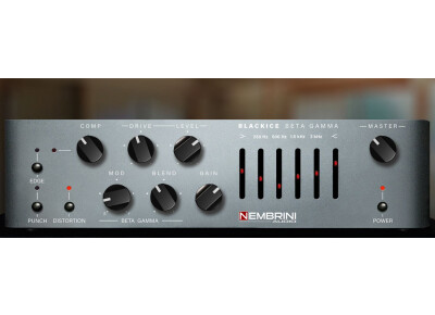 Nembrini Audio Blackrice Beta Gamma Bass Amplifier