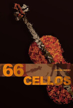 8dio 66 Cello