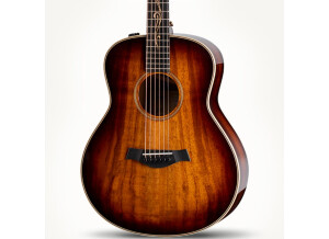 Taylor GT K21e