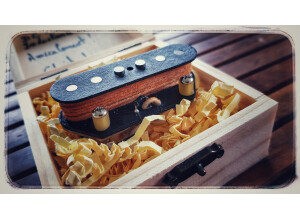 Asyllum Pickups Set "Custom" Blues-Rock