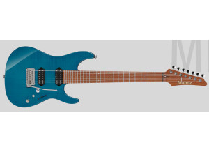 Ibanez MM7 Martin Miller Signature
