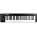 Voir la photo du Alesis Q49 MKII Alesis Q49 MKII