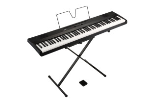 Korg L1