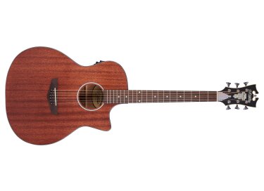 D'angelico Premier Gramercy LS