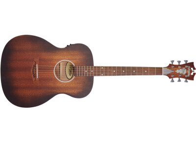 D'angelico Premier Tammany LS