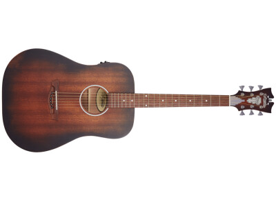 D'angelico Premier Lexington LS