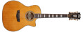 D'Angelico présente ses nouvelles guitares folk de la série Premier