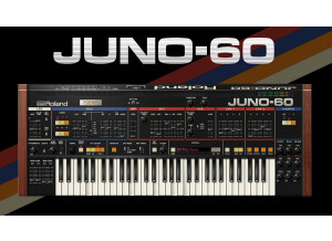 Roland Juno-60 Software Synthesizer