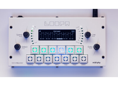 Midiphy LoopA