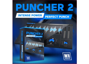 W.A. Production Puncher 2