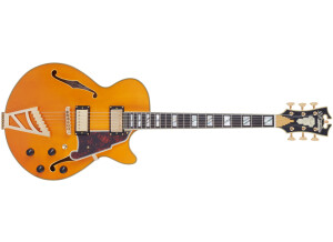 D'angelico Excel SS (2021)