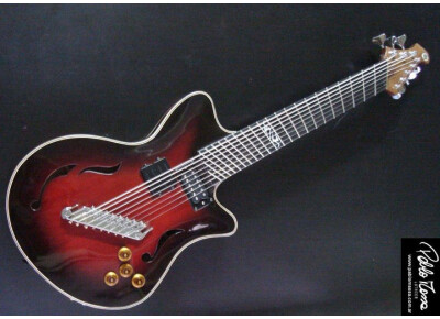 Luthier Guitare jazz 8 cordes (Pablo Massa)