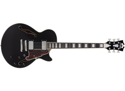 D'angelico Premier SS