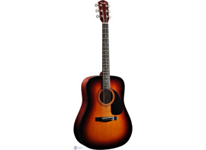 Fender DG-5