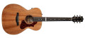 Godin présente la Fairmount CH Composer QIT