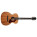 See the photo of the Godin Fairmount CH Composer QIT Godin Fairmount CH Composer QIT