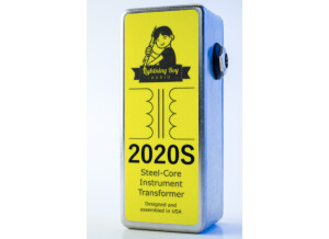 Lightning Boy Audio 2020S