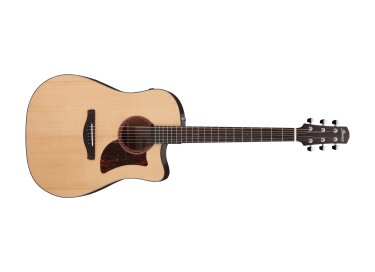 Ibanez AAD170CE