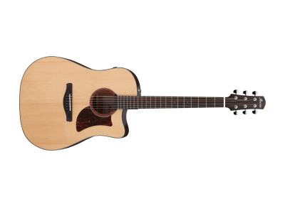 Ibanez AAD170CE