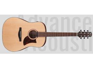 Ibanez AAD100E