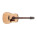 Voir la photo du Ibanez AAD100E Ibanez AAD100E