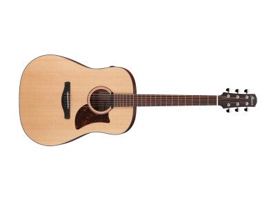 Ibanez AAD100E