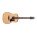 Voir la photo du Ibanez AAD100 Ibanez AAD100