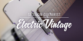 Session Guitarist - Electric Vintage (transfert de licence)