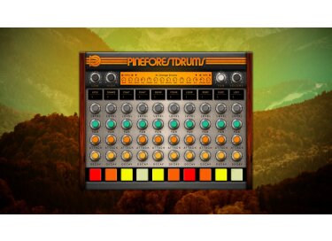 SampleScience Pine Forest Drums