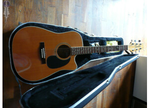 Jasmine TS50MC