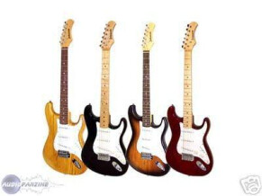 Johnson Guitars Strat