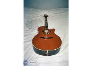 Takamine PSF45C