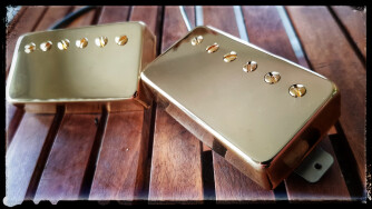 Asyllum Pickups Black Dog