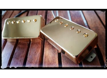 Asyllum Pickups Black Dog