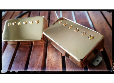 Asyllum Pickups Black Dog