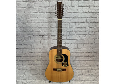 Washburn D12S 12N