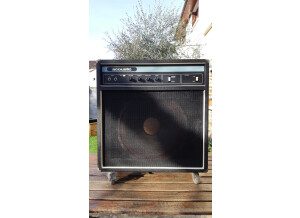 Acoustic model 116
