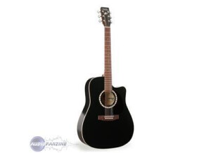 Elypse Guitars CW
