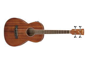 Ibanez PNB14E
